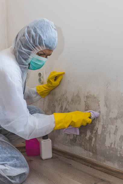 Best Residential Mold Inspection & Testing  in Stottville, NY