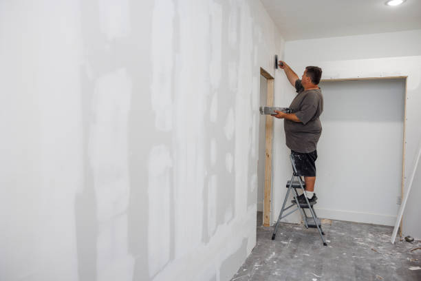 Trusted Stottville, NY Mold Removal Experts
